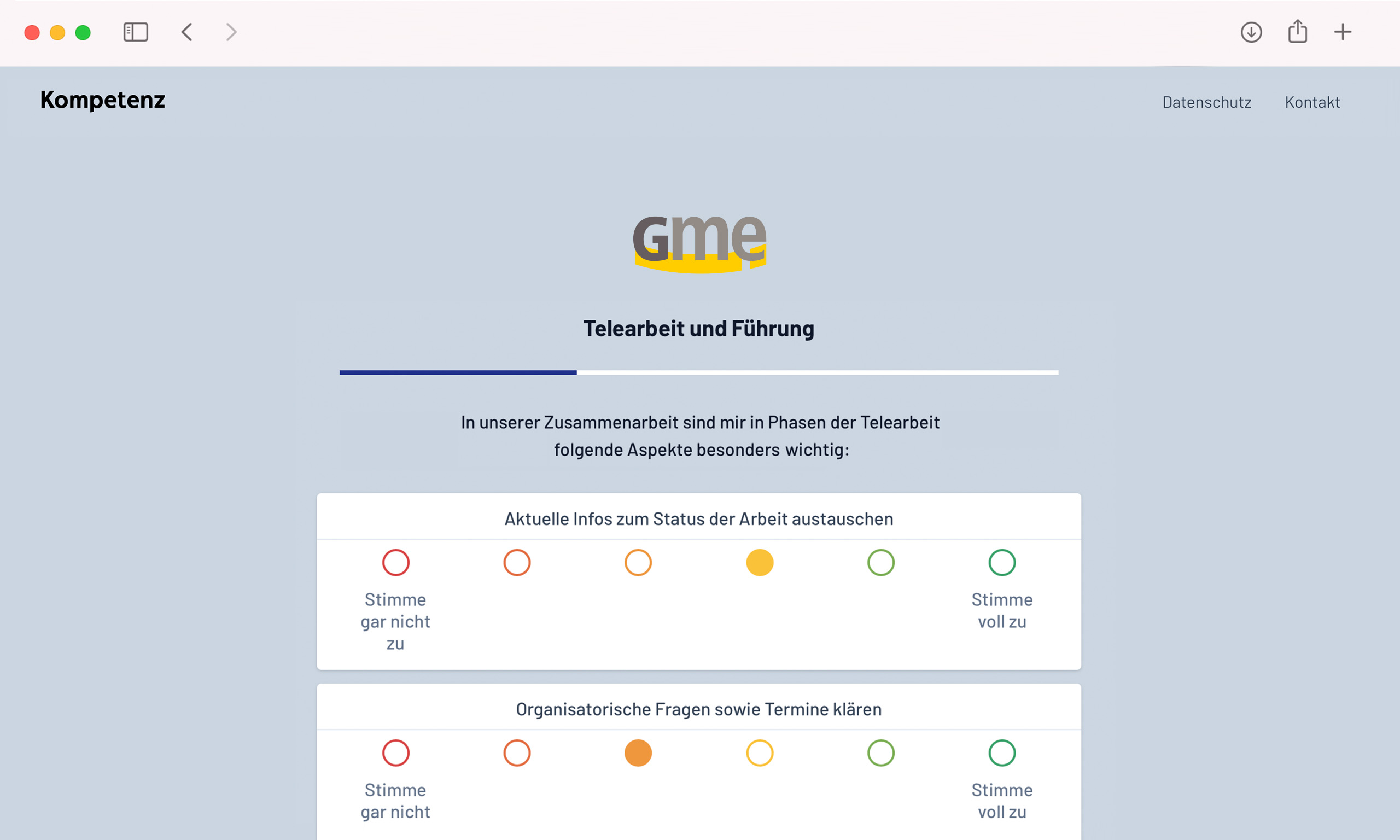 Befragungen Auswertung